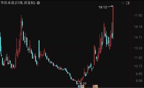 北證50指數強勢上揚，華信永道、聯迪信息領漲，信息系統集成服務板塊表現亮眼